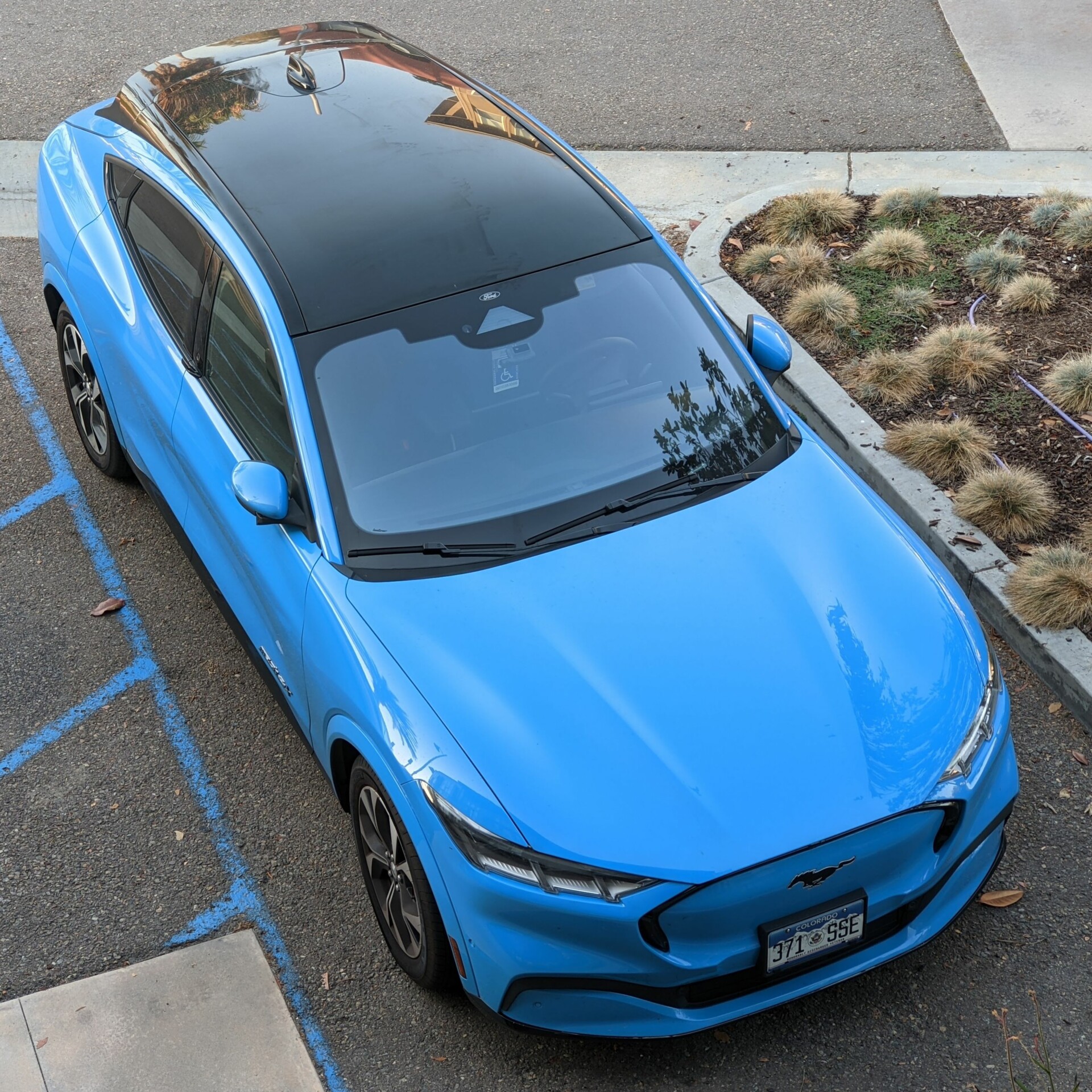 Mach-E glass roof shade
